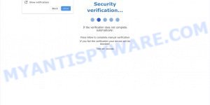 Security verification popup