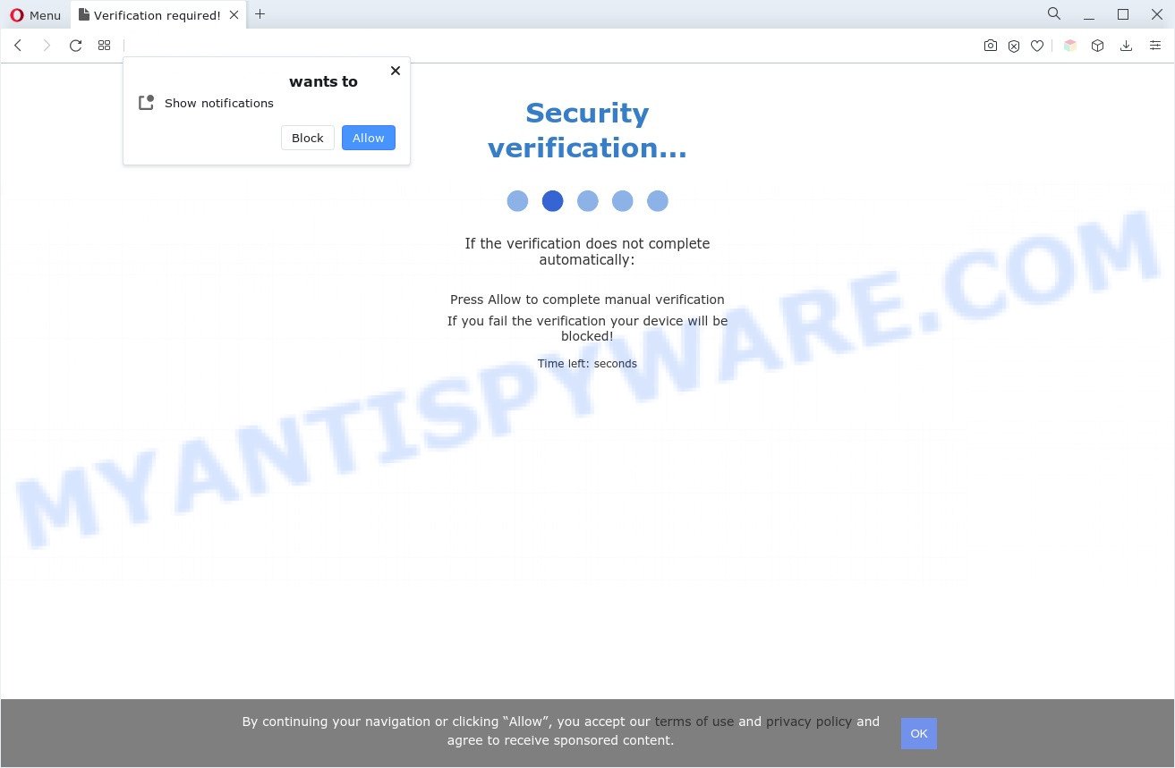 Security verification popup