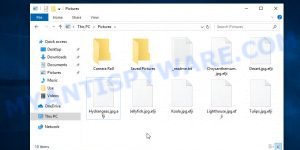 Files encrypted with .Efji extension