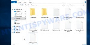 Files encrypted with .Moss extension