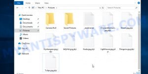 Files encrypted with .jdyi extension