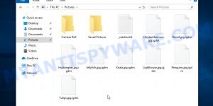 Files encrypted with .igdm extension