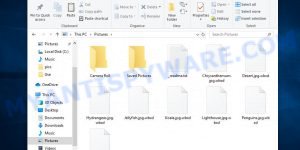 Files encrypted with .wbxd extension