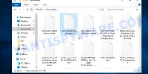 Files encrypted with .Wwka file extension