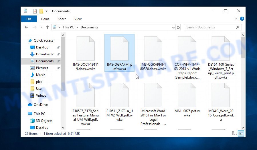 Files encrypted with .Wwka file extension