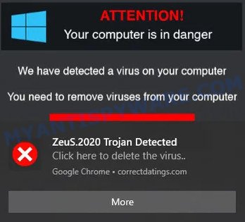 attention your computer may be in danger Zeus trojan SCAM