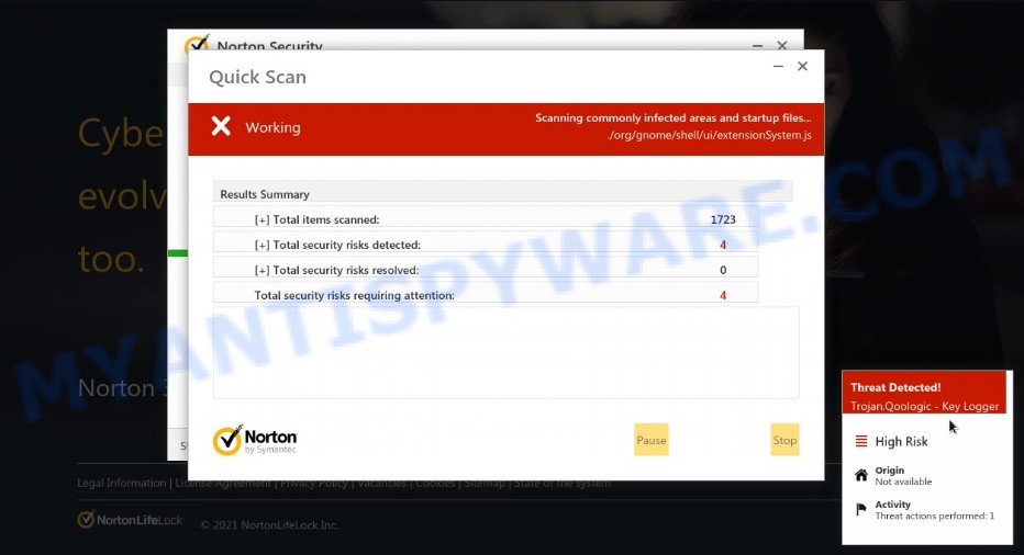 fake Norton system scan