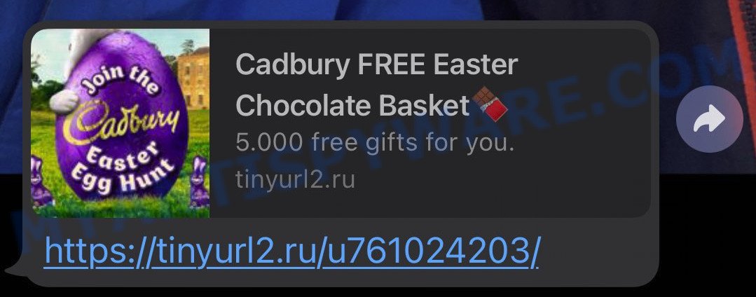 Tinyurl2 scam message