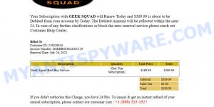 Geek Squad Email Scam v8