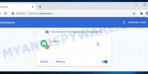 Looker Chrome extension Virus