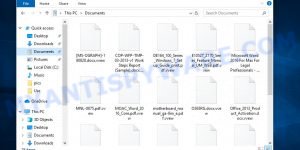 vvew virus file