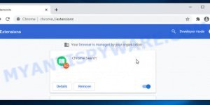 Chrome Search extension virus