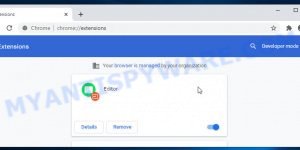 Editor Chrome extension virus