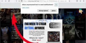 Emyresumef.hair Best Video Streaming Scam