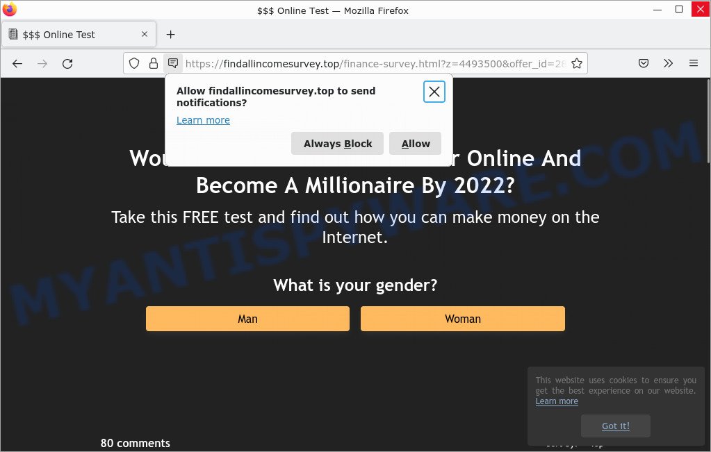 Findallincomesurvey.top scam