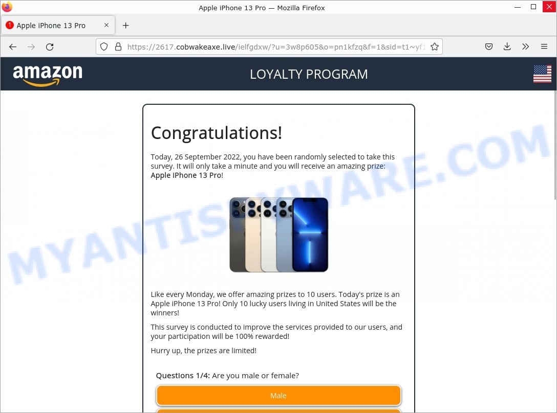 Main Captcha - Amazon Loyalty Program Scam