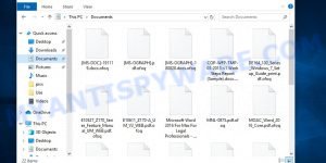 Ofoq virus file