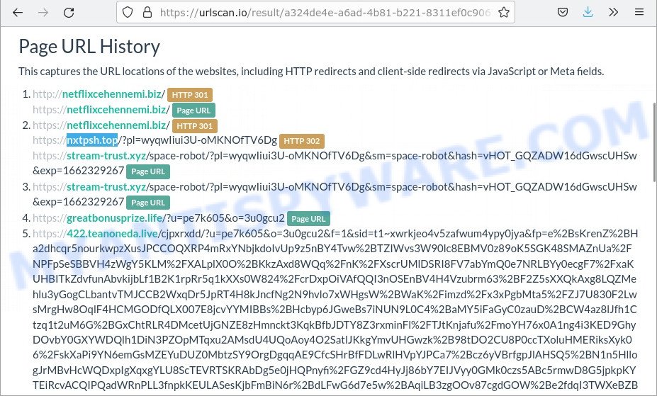 nxtpsh.top redirect