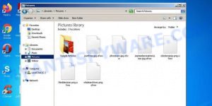 ofww file virus
