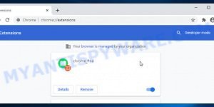 Chrome_Find Extension Virus