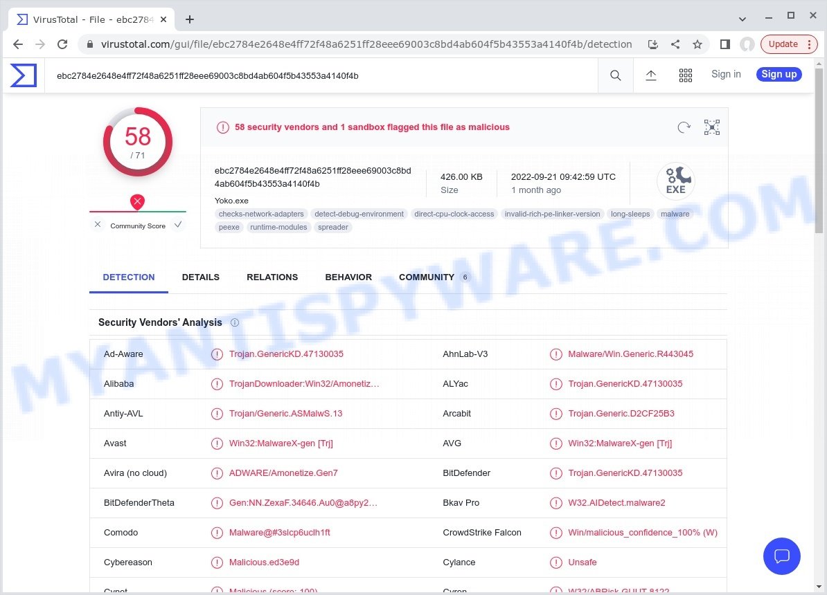 File.exe virus trojan malware