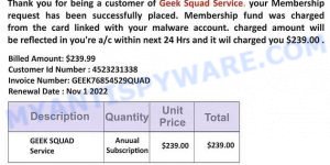 Geek Squad EMAIL SCAM Geek Squad Service
