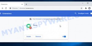 Mouse Chrome Extension Virus