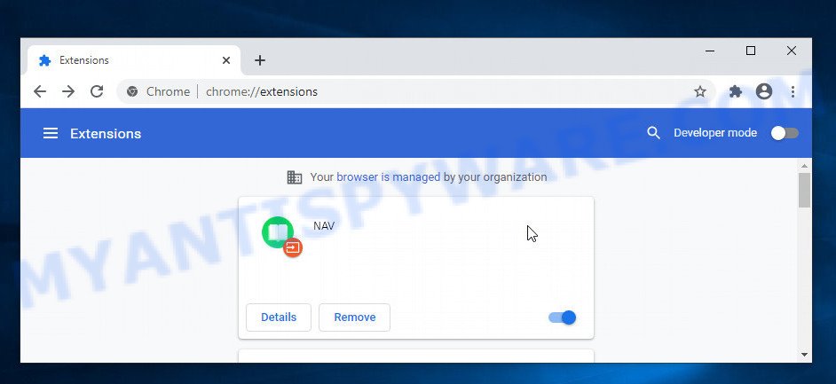 NAV Browser Extension virus