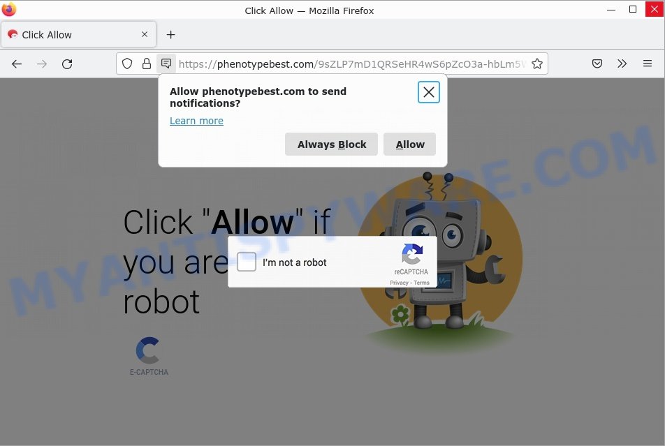 Phenotypebest.com Click Allow Scam