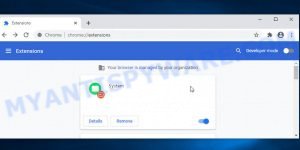 System Chrome Extension Virus