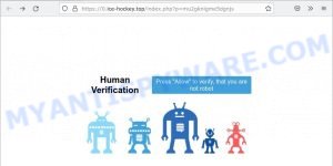 ice-hockey.top Human Verification Scam