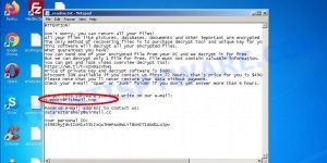 support@fishmail.top ransomware note