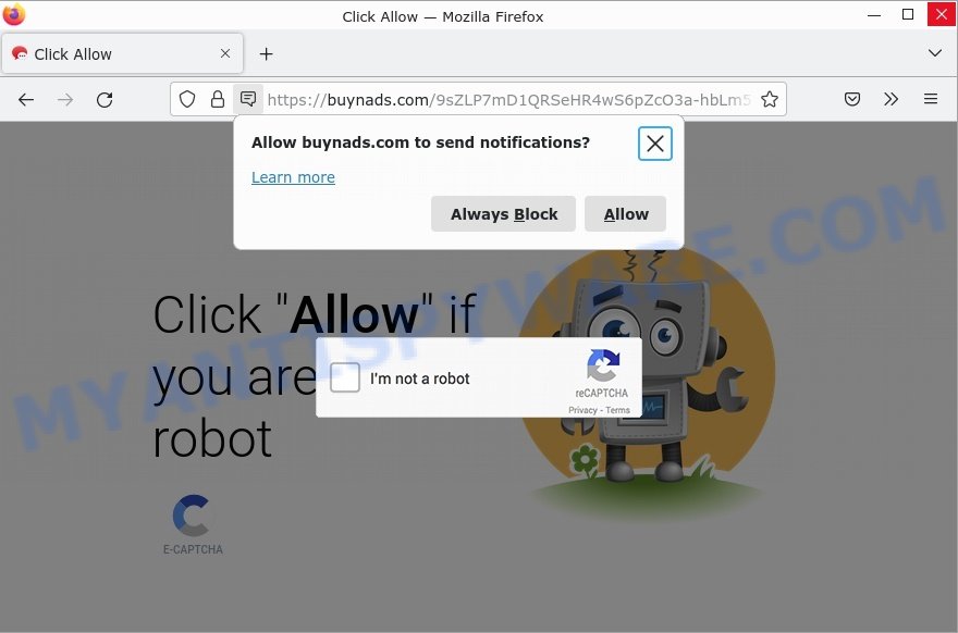 Buynads.com Click Allow Scam