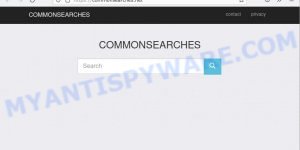 CommonSearches.net