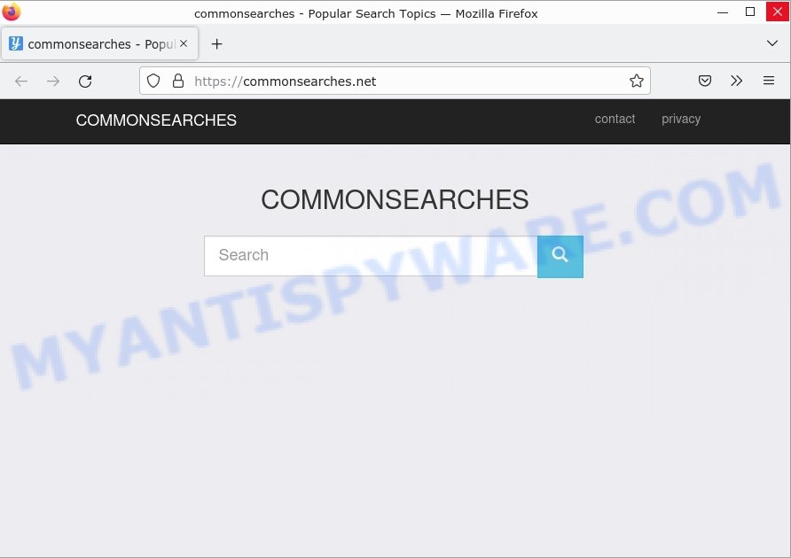 CommonSearches.net
