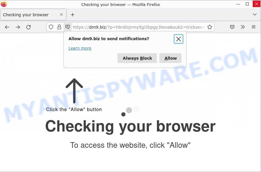 Dm9.biz Checking your browser Scam