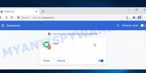 Flags Chrome Extension Virus