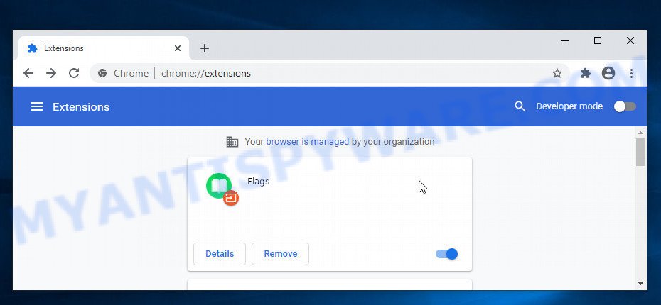 Flags Chrome Extension Virus