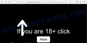 Greysummergo.biz If you are 18+ click Allow Scam