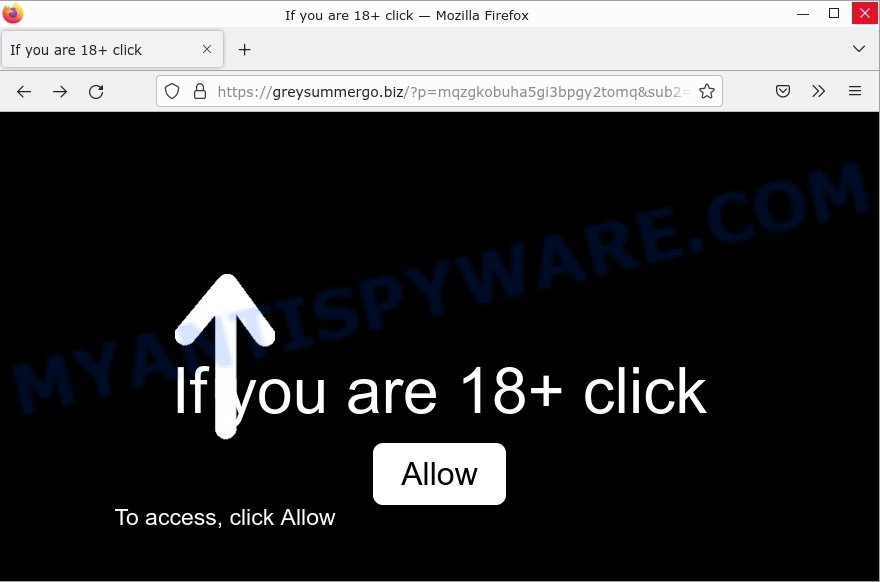 Greysummergo.biz If you are 18+ click Allow Scam