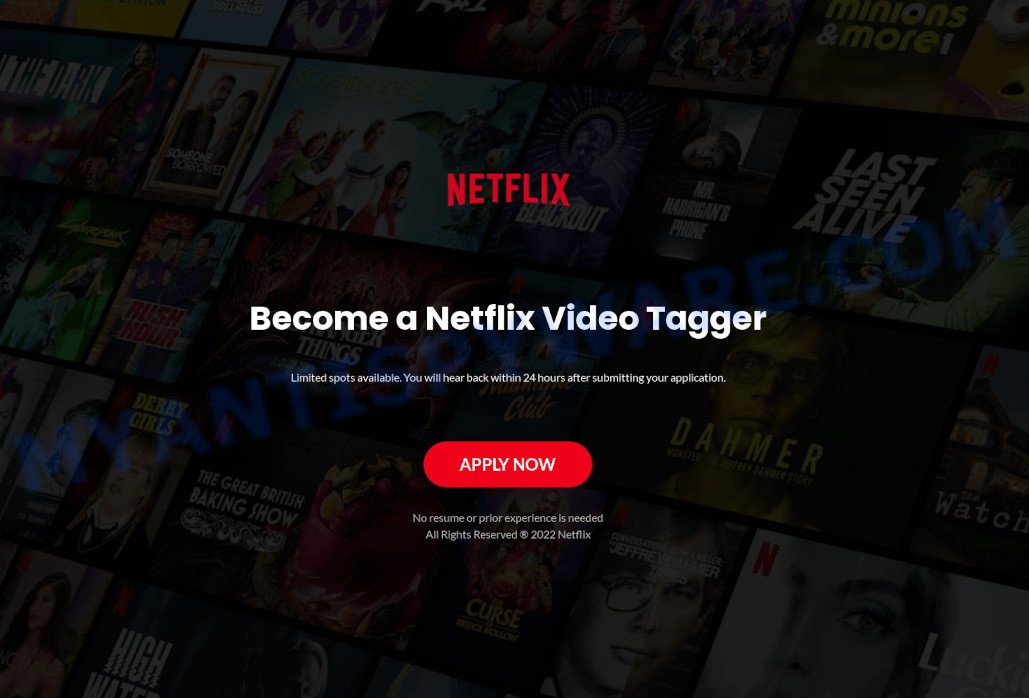Netflix Tagger job scam