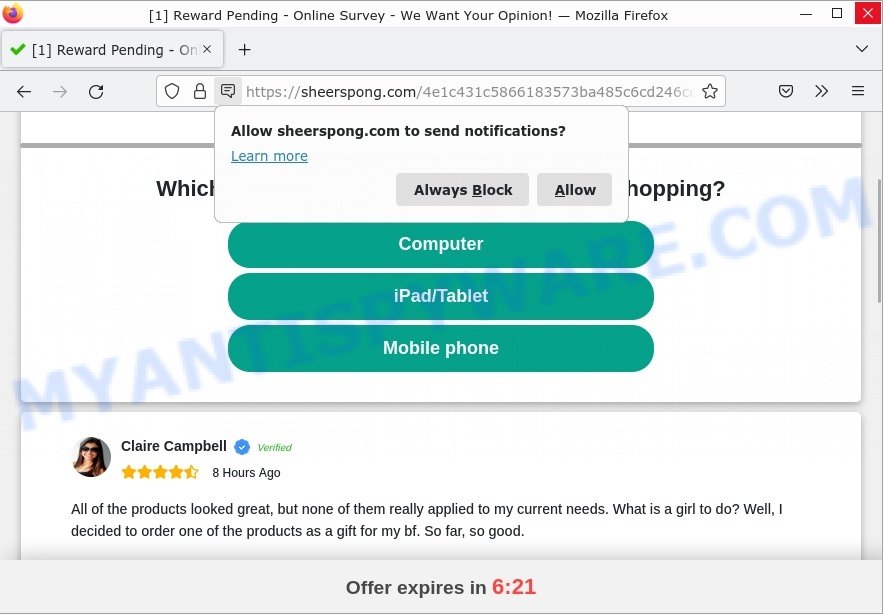 Sheerspong.com We Want Your Opinion Scam