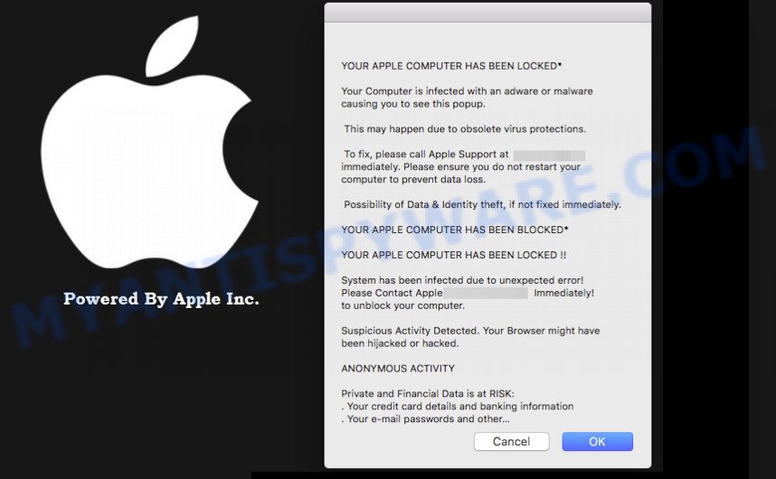 YOUR APPLE COMPUTER HAS BEEN LOCKED SCAM