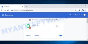 Apps 2.0 browser extension