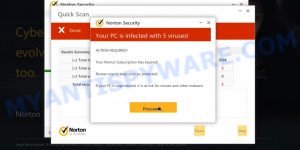 Reportyourdefenderdata.site Norton fake scan results