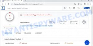 maggotpolity.com malicious