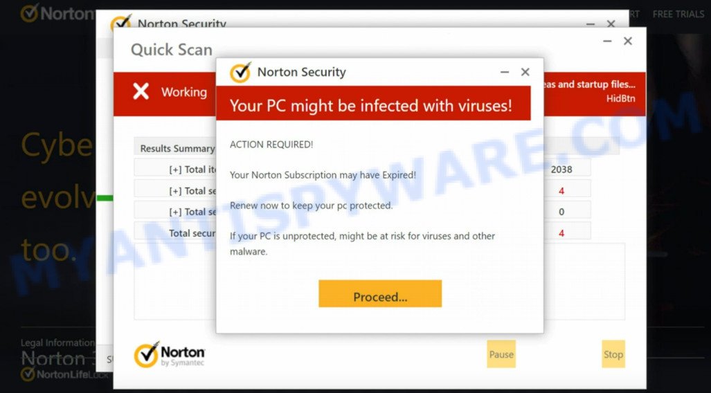 Securityguardplus.site Norton fake scan results