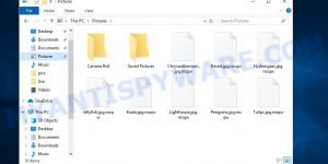 Support@freshmail.top file virus