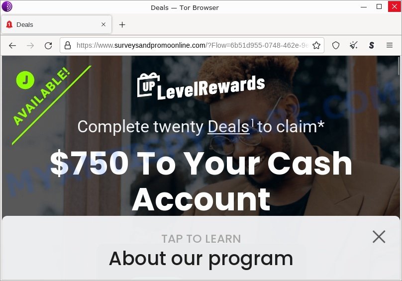Beast-cub.com redirect 750 To Your Cash Account