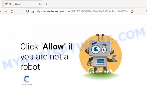 Adventureorganic.com Click Allow Scam